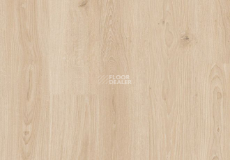 Parador Classic 1050 4V 1601446 Дуб Студийный Шлифованный фото 2 | FLOORDEALER